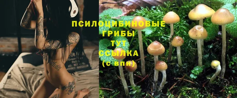 ссылка на мегу маркетплейс  Югорск  Галлюциногенные грибы MAGIC MUSHROOMS 